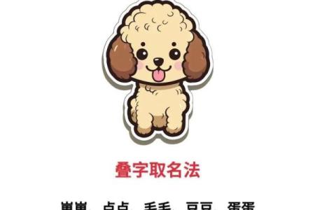 公狗名字精选：你绝对没见过的创意名字