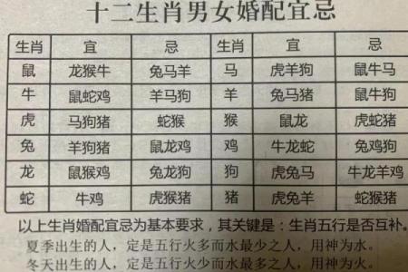 精准解读面相奥秘：揭秘十二生肖运势秘密图解