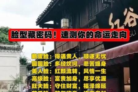 揭秘面相流年：精准预测运势，解锁命运密码