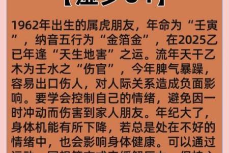 2022壬寅年出生宝宝，揭秘属虎命格的爆款运势