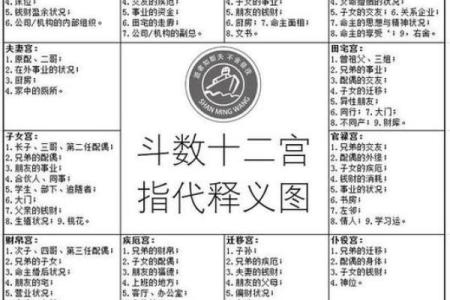 紫微排盘初学者必看：从入门到精通的完整指南