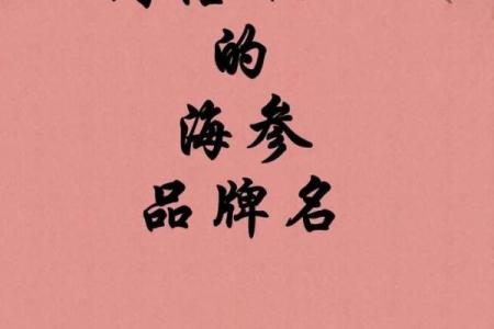 公司起名新思路：让品牌名引爆市场