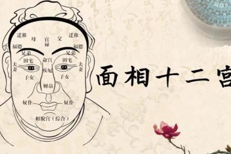 头顶角面相揭秘：揭秘你的运势与性格