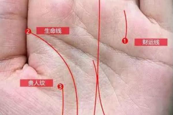 小手面相揭秘：揭秘手小面相的惊人秘密