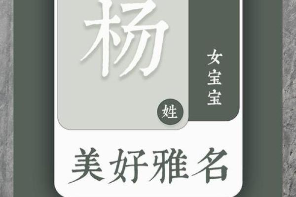 为杨姓宝宝挑选一个独特名字
