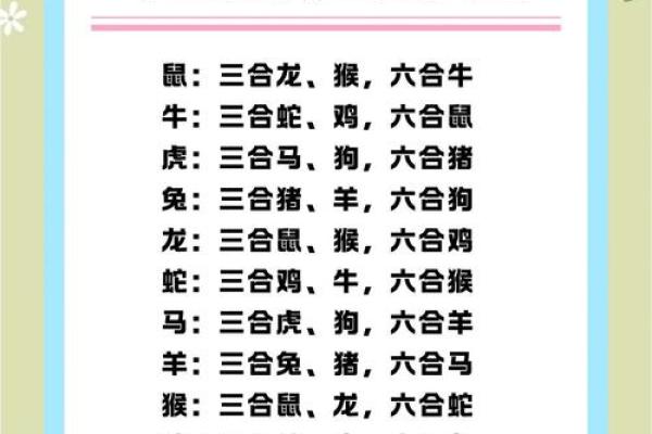 龙凤呈祥还是龙免不合？揭秘生肖奥秘