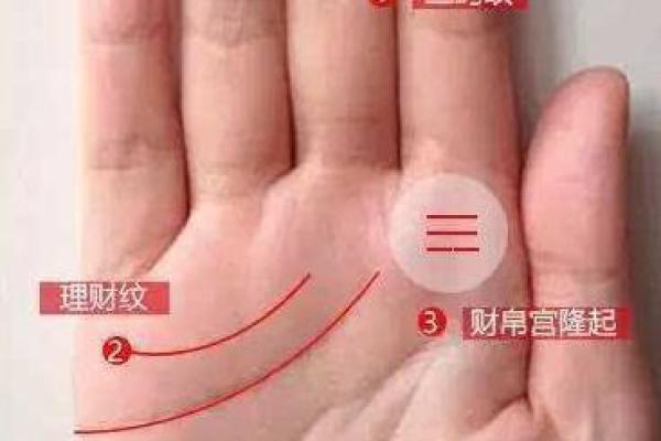 手相揭秘：富贵命的神秘印记，一观便知