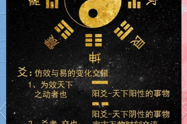 广西独家揭秘：风生水起，家居布局秘籍大公开