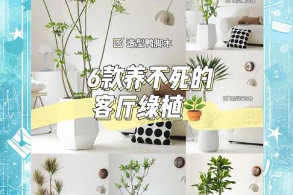 窗台上的风水百合：招财旺运，家居风水必备神器