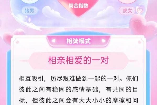 生肖配对大揭秘，遇见命中注定的TA