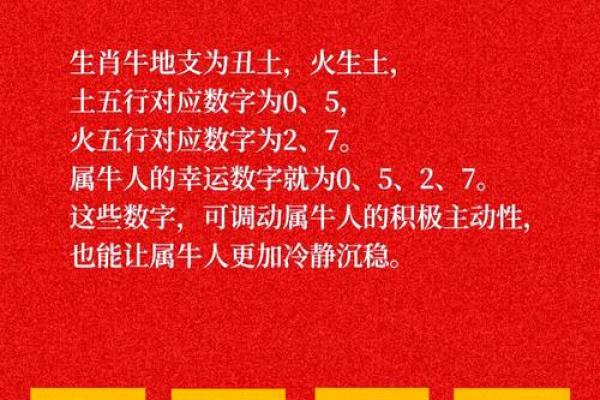 数字命理揭秘：如何通过数字识破克夫命运
