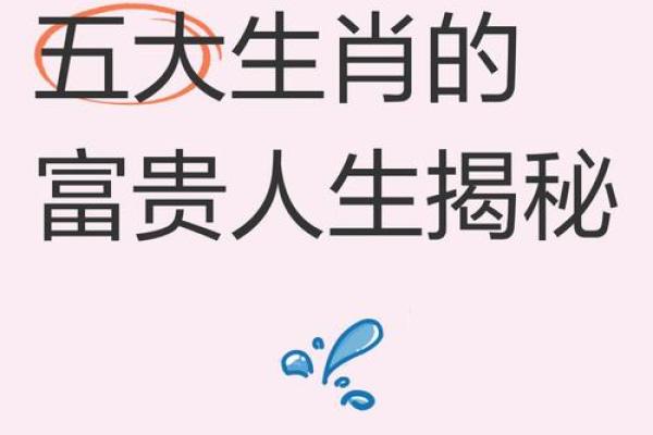 揭秘一命二运：生肖运势揭秘，财运亨通的秘密武器