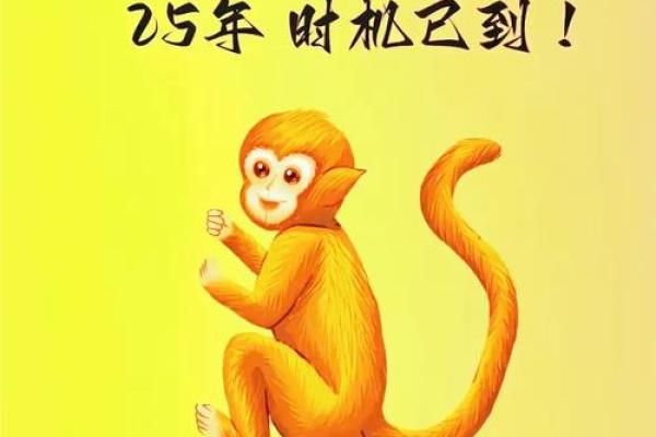 猴缘佳话：揭秘猴类最佳伴侣，婚姻生活幸福满满