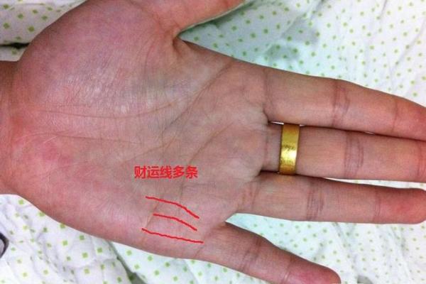 手相中的田字纹，揭秘财运亨通的秘密