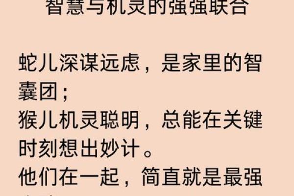 八口之家生肖揭秘：揭晓谁家宝宝福气满满？