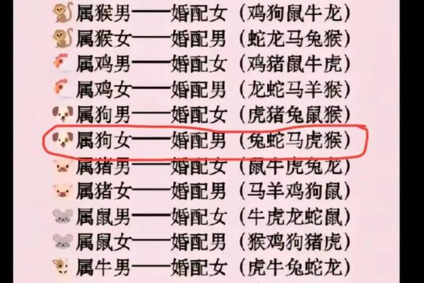 91羊女遇95猪男：揭秘最般配的星座缘分