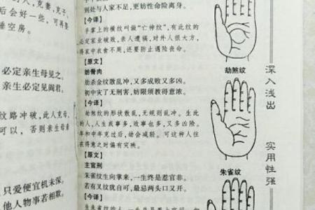 小手面相揭秘：揭秘手小面相的惊人秘密