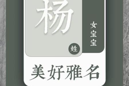 为杨姓宝宝挑选一个独特名字