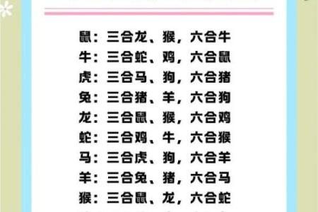 龙凤呈祥还是龙免不合？揭秘生肖奥秘