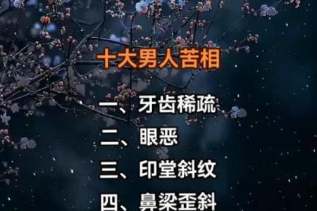 京城面相揭秘：一眼识人，命运尽在掌握
