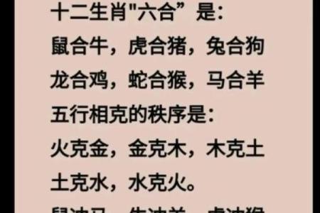 五行属金生肖的事业发展秘诀