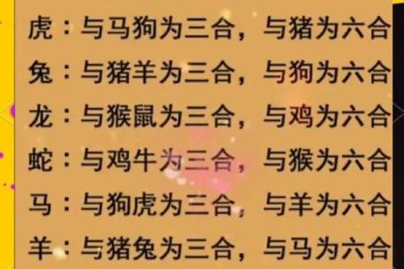 生肖配对大揭秘，遇见命中注定的TA