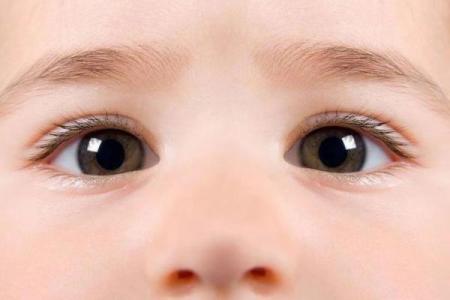 幼童眼神透露命运秘密，揭秘面相中的童眸智慧
