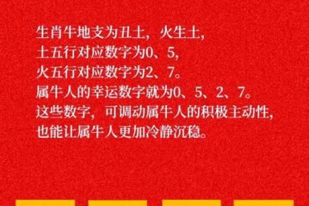 数字命理揭秘：如何通过数字识破克夫命运
