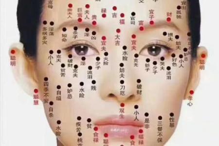 揭秘面相秘密：一眼看穿命运起伏