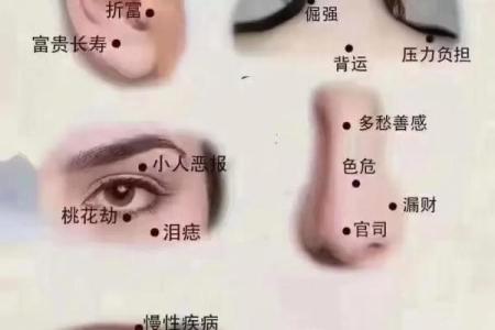 眉痣之谜：左眉痣背后的命运密码