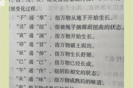 探索纪月天干与农历节令的关联