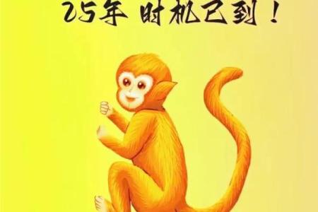 猴缘佳话：揭秘猴类最佳伴侣，婚姻生活幸福满满