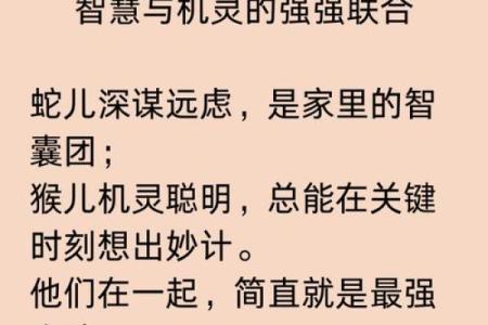八口之家生肖揭秘：揭晓谁家宝宝福气满满？