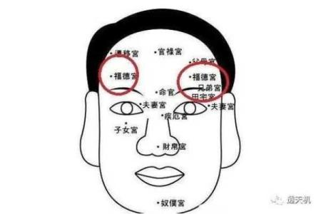 揭秘面相偏才的惊人运势：你了解自己的潜力吗？