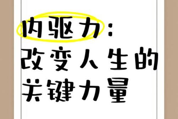 天干己：命运中的关键力量，掌握它改变人生