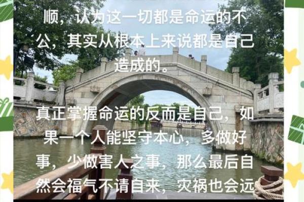 天干己：命运中的关键力量，掌握它改变人生
