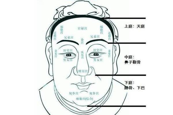 风水秘籍：什么眉型最适合你，财运亨通、福星高照
