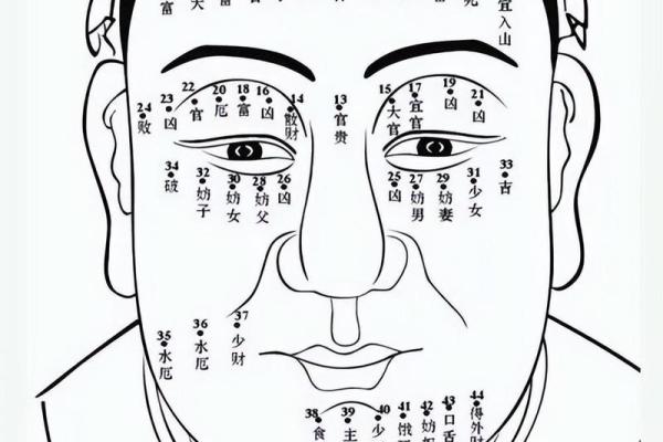 识人于面相，一步看透命运秘密