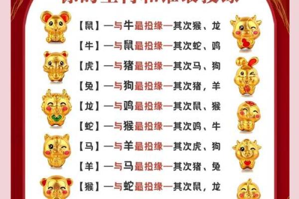 生肖相冲？揭秘属马与属猴的完美匹配