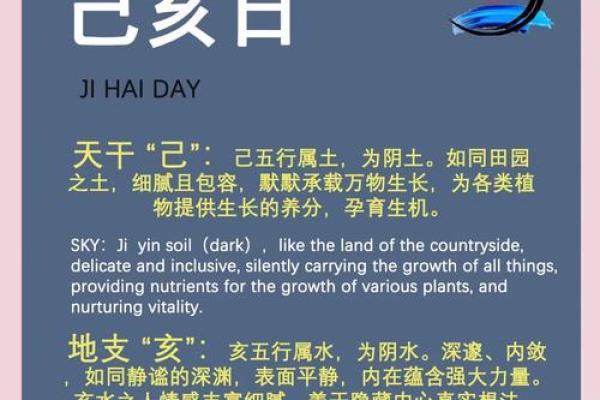 属水亥吗？时五一行文属什么解？答看你的疑完这惑篇