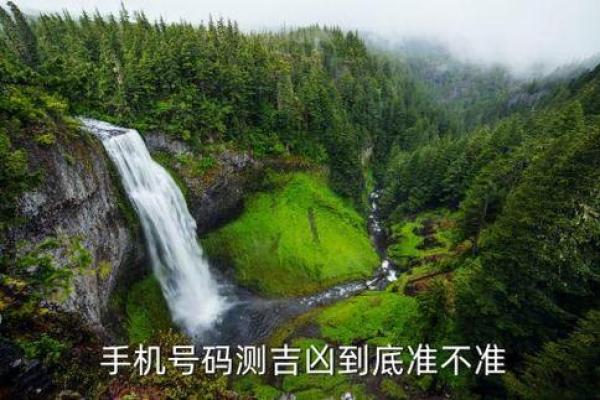 出国运势如何判断？命理师告诉你答案