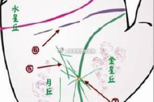 手相揭示：婚前魅力无边，众多追求者为何独宠她