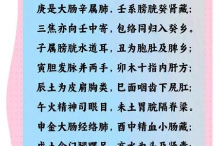 中医五行与现代养生：如何运用五行调养身体