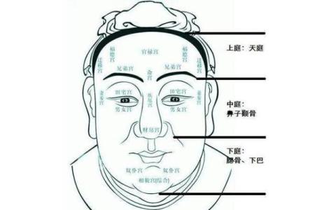风水秘籍：什么眉型最适合你，财运亨通、福星高照