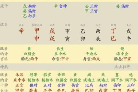 八字命盘看运势：你未来的财富、健康与爱情