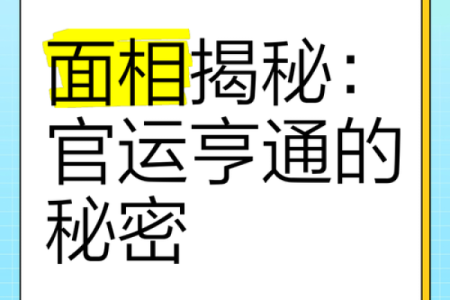 一眼看透命运：揭秘面相背后的秘密