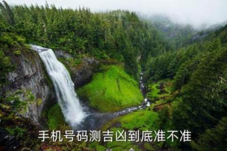 出国运势如何判断？命理师告诉你答案