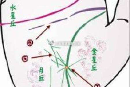 手相揭示：婚前魅力无边，众多追求者为何独宠她