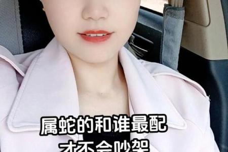蛇鼠一窝：揭秘生肖背后的惊人秘密