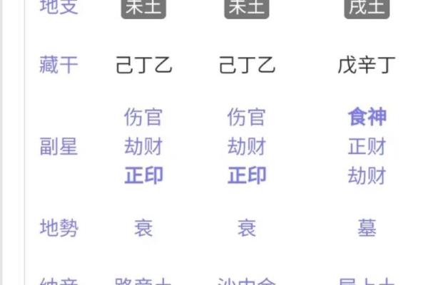 日元八字解析：如何从八字看出财运与事业走向